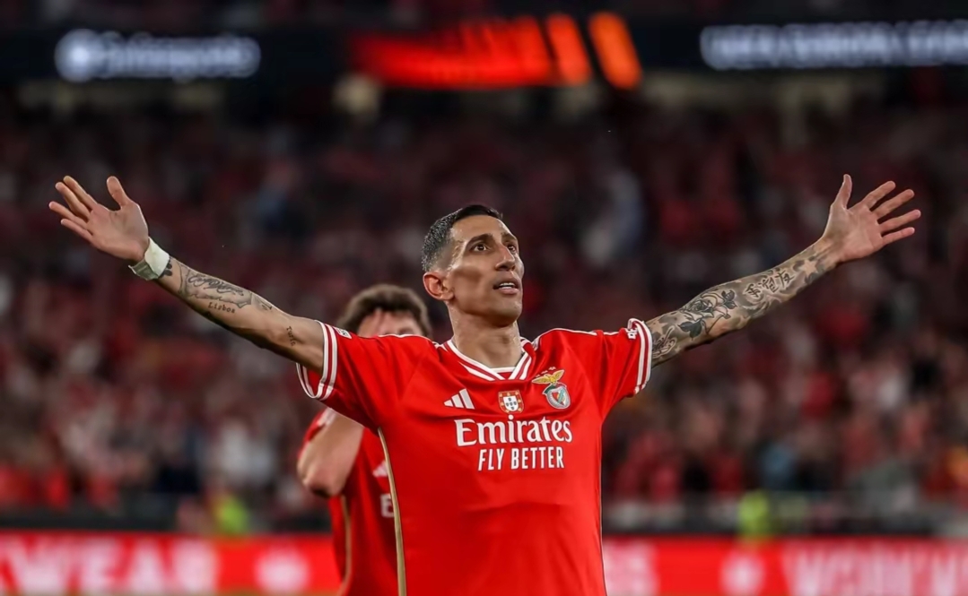 里程碑夜本菲卡遗憾出局，意大利杯清晨刷纪录，更衣室稳定，身体对抗强度拉满(本菲卡是哪个国家的俱乐部)-JBO官网